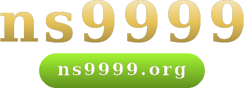 ns9999 logo